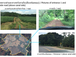  Land for sale in Nai Mueang, Mueang Phetchabun, Nai Mueang