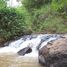  Grundstück zu verkaufen in Phu Ruea, Loei, Nong Bua, Phu Ruea, Loei