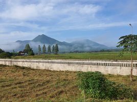  Grundstück zu verkaufen in Tha Li, Loei, A Hi, Tha Li, Loei