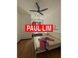 6 Schlafzimmer Reihenhaus zu verkaufen in Langkawi, Kedah, Padang Masirat, Langkawi, Kedah