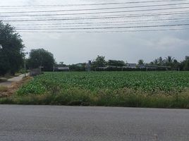  Land for sale in Kanchanaburi, Tha Muang, Tha Muang, Kanchanaburi