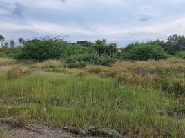  Land for sale in Phetchaburi, Laem Phak Bia, Ban Laem, Phetchaburi