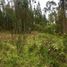  Land for sale in Deleg, Canar, Solano, Deleg