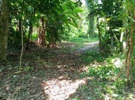  Land for sale in Ko Kaeo, Phuket Town, Ko Kaeo