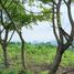  Grundstück zu verkaufen in Pujut, Lombok, Pujut, Lombok Tengah, Lombok