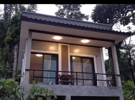 1 Schlafzimmer Haus zu vermieten in Thep Krasattri, Phuket, Thep Krasattri