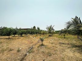  Land for sale in Rai Khing, Sam Phran, Rai Khing