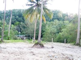  Land for sale in Wichit, Phuket Town, Wichit