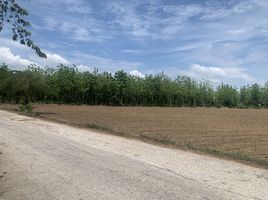  Land for sale in Kamphaeng Phet, Khanu Woralaksaburi, Kamphaeng Phet