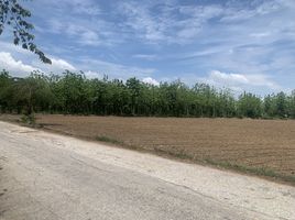  Grundstück zu verkaufen in Khanu Woralaksaburi, Kamphaeng Phet, Khanu Woralaksaburi, Kamphaeng Phet