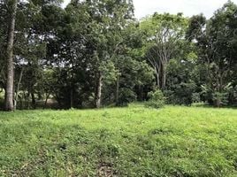  Land for sale in Orotina, Alajuela, Orotina