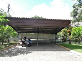 3 Schlafzimmer Haus zu vermieten in Chiang Mai University Demonstration School, Suthep, Suthep