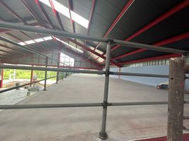 2 Bedroom Warehouse for rent in Pathum Thani, Bueng Kham Phroi, Lam Luk Ka, Pathum Thani