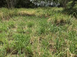  Land for sale in Nakhon Ratchasima, Nong Nam Daeng, Pak Chong, Nakhon Ratchasima