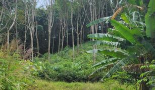 N/A Land for sale in Lo Yung, Phangnga 