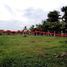  Land for sale in San Na Meng, San Sai, San Na Meng