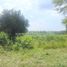  Land for sale in Na Wang Hin, Pattaya, Na Wang Hin, Phanat Nikhom