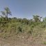  Land for sale in Las Piedras, Tambopata, Las Piedras