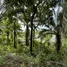 ขายที่ดิน ใน ป่าคลอก, ภูเก็ต, ป่าคลอก, ถลาง
