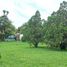  Land for sale in Goicoechea San Jose, Goicoechea