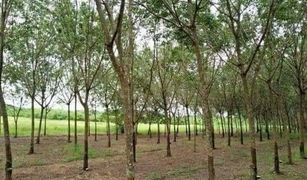 N/A Land for sale in Nam Chan, Bueng Kan 