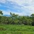  Land for sale in Perez Zeledon, San Jose, Perez Zeledon