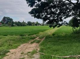  Land for sale in Mae Hia, Mueang Chiang Mai, Mae Hia