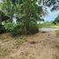  Land for sale in Santiburi Samui Country Club, Maenam, Maenam