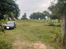  Grundstück zu verkaufen in Koh Samui, Surat Thani, Maret