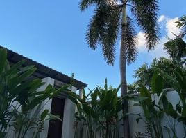 3 Schlafzimmer Villa zu vermieten im Oxygen Condominium Rawai, Rawai