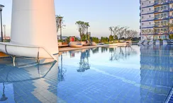 图片 2 of the Communal Pool at Supalai Mare Pattaya