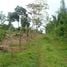  Land for sale in Toabre, Penonome, Toabre