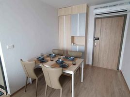 1 Bedroom Apartment for rent at Ideo O2, Bang Na, Bang Na