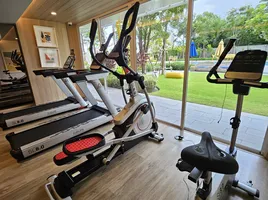 Studio Wohnung zu vermieten im Hay Hua Hin, Nong Kae