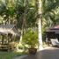 6 Schlafzimmer Villa zu verkaufen in Ko Pha-Ngan, Surat Thani, Ko Pha-Ngan, Ko Pha-Ngan, Surat Thani