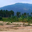  Grundstück zu verkaufen in Si Racha, Chon Buri, Khao Khan Song