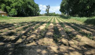 N/A Land for sale in Nong Ya, Kanchanaburi 