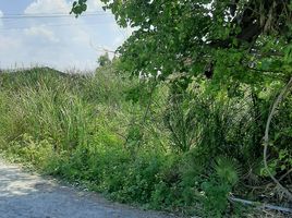  Land for sale in Nakhon Chai Si Nakhon Pathom, Tha Tamnak, Nakhon Chai Si, Nakhon Pathom
