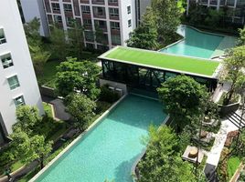 Studio Wohnung zu vermieten im D Condo Ping, Fa Ham, Mueang Chiang Mai