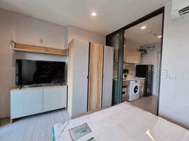 Studio Wohnung zu vermieten im Life Sukhumvit 62, Bang Chak, Phra Khanong