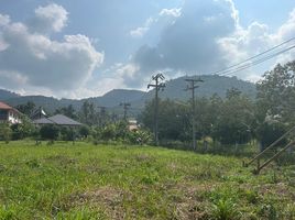  Land for sale in Baan Tai Beach, Maenam, Maenam