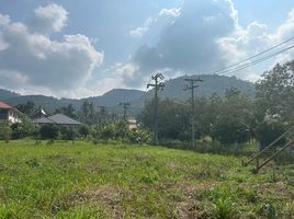  Grundstück zu verkaufen in Koh Samui, Surat Thani, Maenam