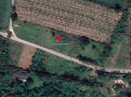  Land for sale in Mittraphap, Sikhio, Mittraphap