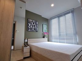 1 Bedroom Condo for rent at Nue Noble Ngamwongwan, Bang Khen, Mueang Nonthaburi, Nonthaburi
