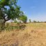  Land for sale in Nakhon Ratchasima, Sung Noen, Sung Noen, Nakhon Ratchasima