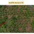  Land for sale in Phan, Chiang Rai, Mae O, Phan