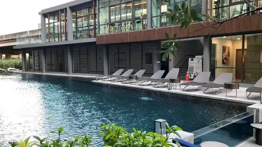 写真 1 of the Communal Pool at The Excel Hideaway Sukhumvit 71