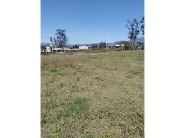  Grundstück zu verkaufen im Cotacachi, Garcia Moreno Llurimagua, Cotacachi, Imbabura