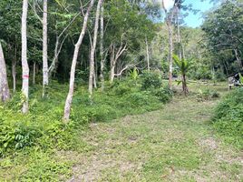  Land for sale in Phuket, Patong, Kathu, Phuket