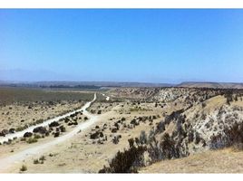  Grundstück zu verkaufen im Coquimbo, Coquimbo, Elqui, Coquimbo